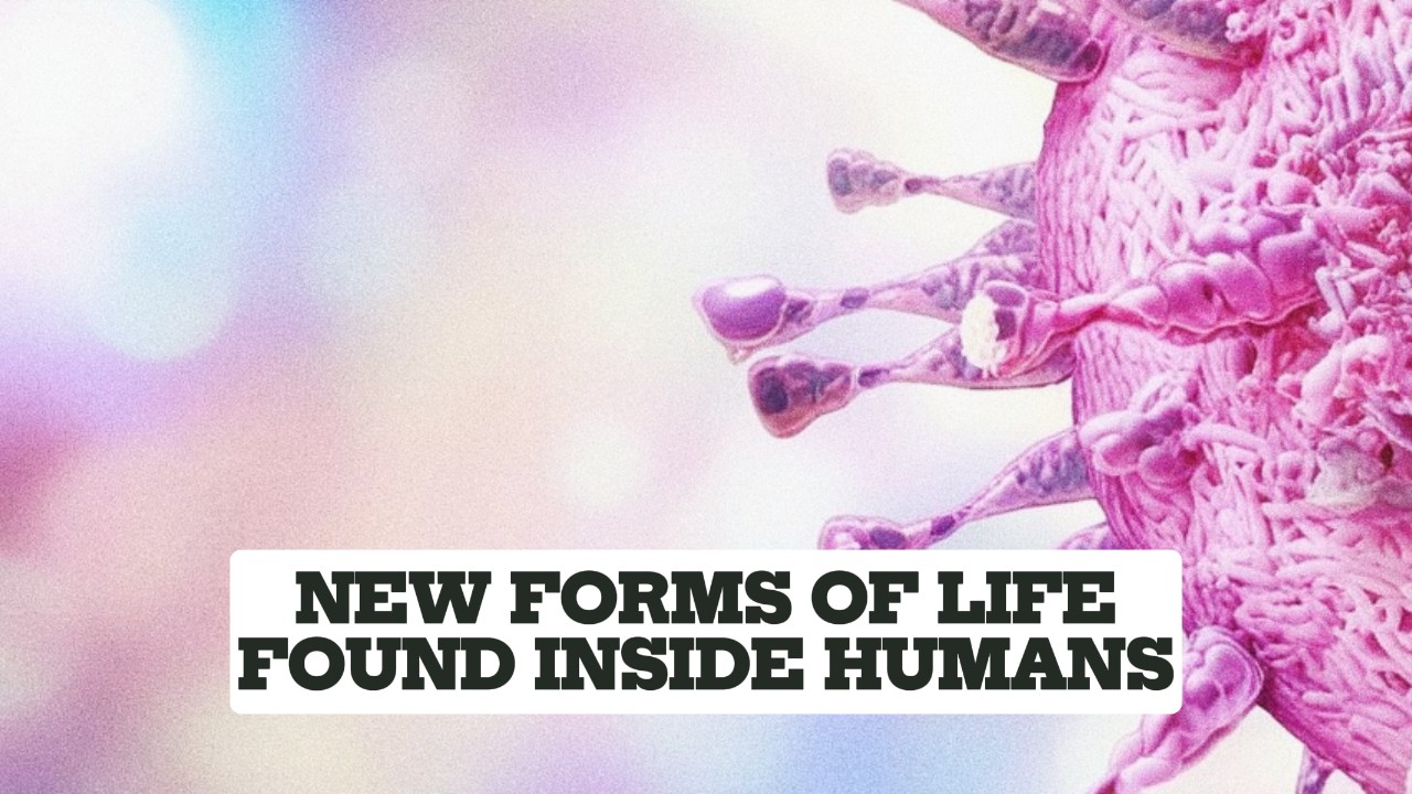 New Forms of Life Found Inside Humans